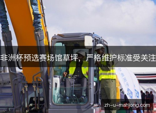 非洲杯预选赛场馆草坪，严格维护标准受关注